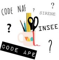 Code ape et code risque